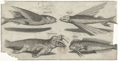 空飛ぶイサキ オンドリ、コブ、ヌタウナギ、セイウチ 釣り（連載タイトル） Piscivm vivae アイコン (シリーズ タイトル) 作： Pierre Firens
