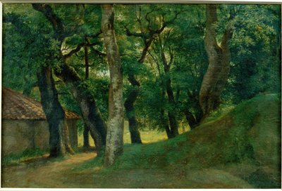 ボルゲーゼ荘の森 - ボルゲーゼ荘の森 ... 作： Pierre-Henri de Valenciennes