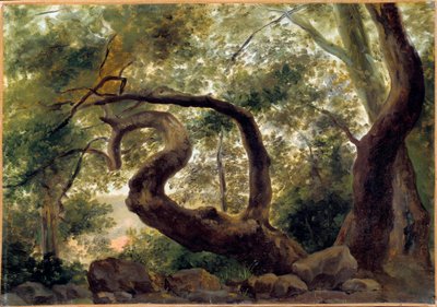 木の下、枝がねじれている木 ピエール・H・ド・ヴァランシエンヌ（1750-1850）の絵画 19世紀 日。0.33×0.47m 作： Pierre Henri de Valenciennes