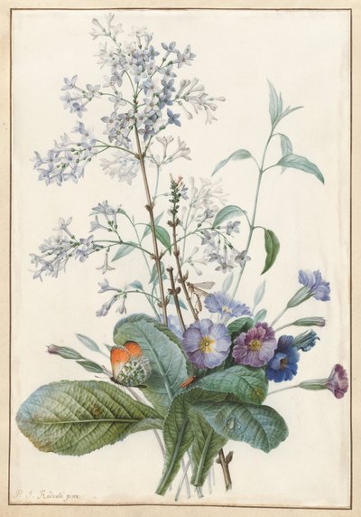 昆虫と花の花束 作： Pierre Joseph Redouté