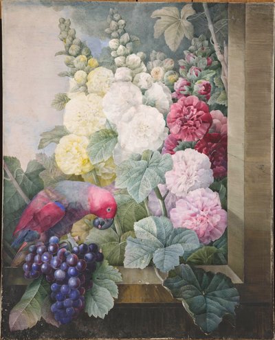 タチアオイ、ブドウ、オウム、1836 年。 作： Pierre Joseph Redouté