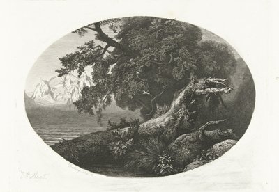 海岸で根こそぎにされた木の幹 作： Pierre Louis Dubourcq