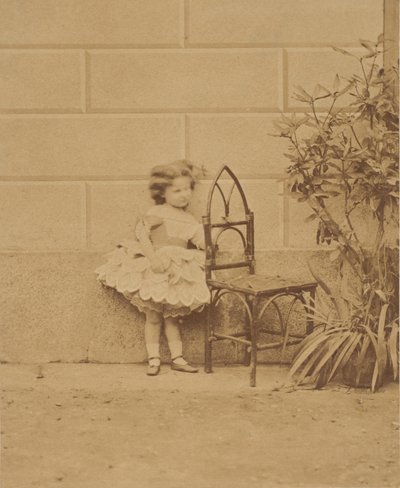 まだ素朴な椅子、1860 年代。 作： Pierre Louis Pierson
