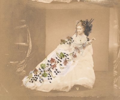 恐怖、1861-67。 作： Pierre Louis Pierson