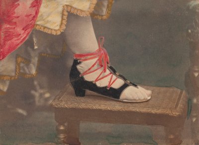 レ・コトゥルヌ、1861-67年。 作： Pierre Louis Pierson
