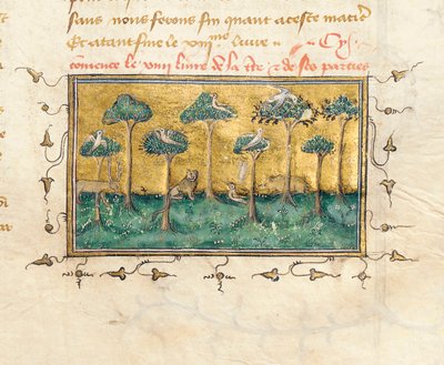 ジャンコルベションのフランス語訳、1390年頃のバルトロメウスアングリクスによる「De Proprietatibus Rerum」のページの詳細 作： Pierre Remiet