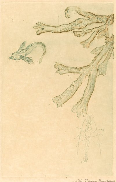 海藻類 作： Pierre Roche