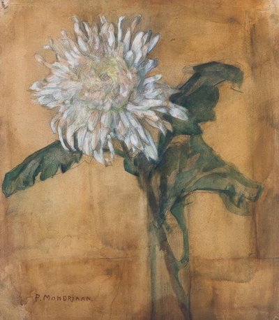 菊 作： Piet Mondrian