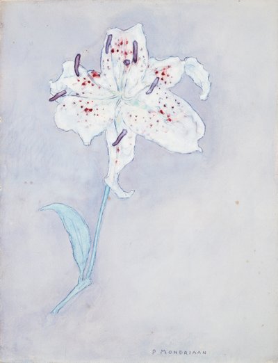 リリー、c.1920-25（紙に水彩） 作： Piet Mondrian