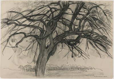 夜の予備調査：The Red Tree、1908（紙に黒いクレヨンと木炭） 作： Piet Mondrian