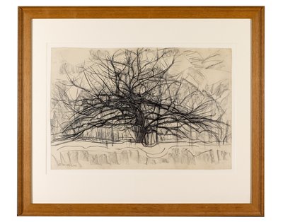 灰色の木の研究、1911年（紙に黒いクレヨン） 作： Piet Mondrian