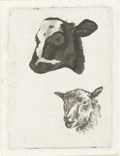 黒い毛皮の子牛と羊の頭 作： Pieter Barbiers (IV)