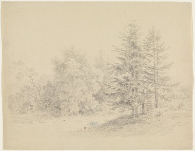 松の木と森の景色 作： Pieter Bartholomeusz. Barbiers