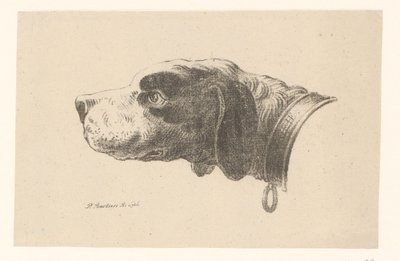 首輪付き犬の頭 作： Pieter Bartholomeusz. Barbiers