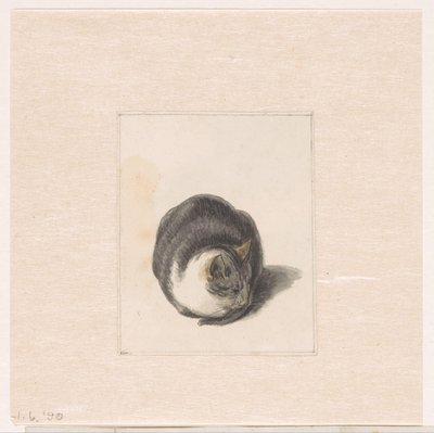 正面から見た座り猫 作： Pieter Bartholomeusz. Barbiers