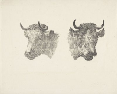 2 つの雄牛の頭 作： Pieter Bartholomeusz. Barbiers