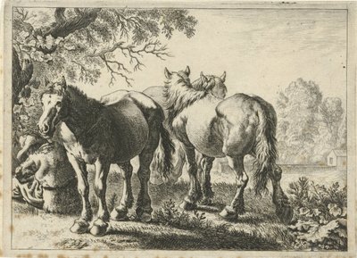 3頭の馬と農夫 いろいろな動物（シリーズタイトル） 作： Pieter Bodding van Laer
