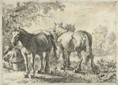 3頭の馬と農夫 いろいろな動物（シリーズタイトル） 作： Pieter Bodding van Laer