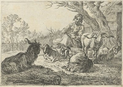 ヤギと羊の間の羊飼い いろいろな動物（シリーズタイトル） 作： Pieter Bodding van Laer