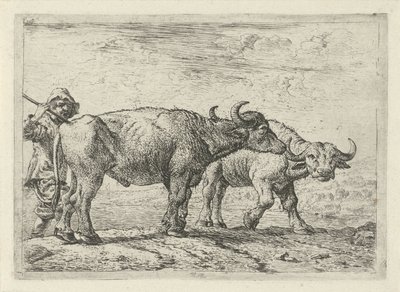2頭の水牛と羊飼い いろいろな動物（シリーズタイトル） 作： Pieter Bodding van Laer