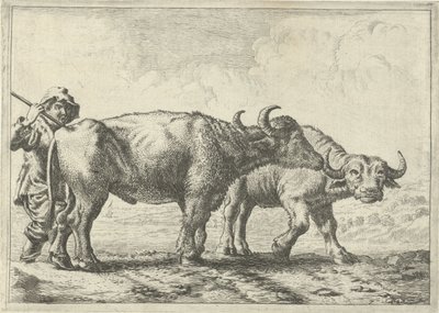 2頭の水牛と羊飼い いろいろな動物（シリーズタイトル） 作： Pieter Bodding van Laer