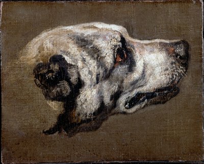 猟犬の頭 作： Pieter or Peter Boel