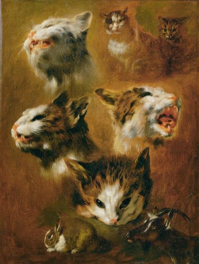 動物研究：猫、ウサギ、山羊 作： Pieter or Peter Boel