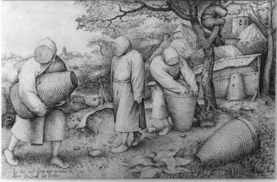 ザ・ビーキーパーズ「宝のありかを知っていれば、それを奪うことができる」1567-68年頃 作： Pieter Bruegel the Elder