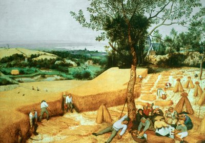 収穫者、1565 作： Pieter Bruegel the Elder