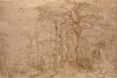 5匹のクマのいるシルバンの風景 作： Pieter Bruegel the Elder