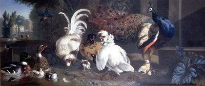 クジャクとニワトリとアヒルとカワセミ 作： Pieter Casteels