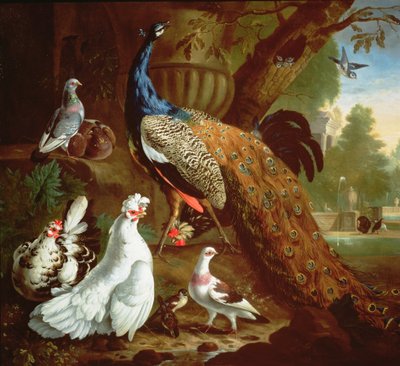 古典的な風景の中の孔雀、1719年 作： Pieter Casteels