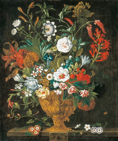 9月、花の12か月から、静物の花のカレンダー 作： Pieter Casteels