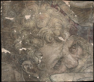 上向きに見てひげを生やした男の頭 作： Pieter Coecke van Aelst