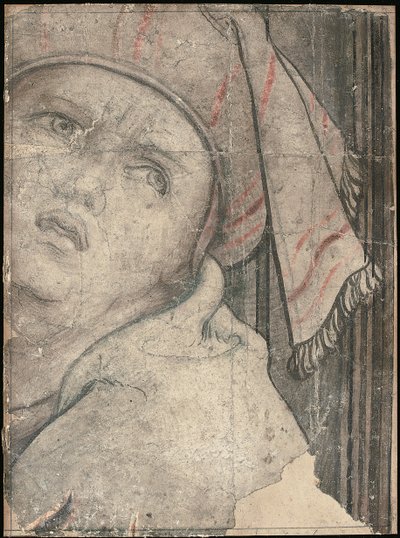 上向きに見ているターバンの男の頭 作： Pieter Coecke van Aelst