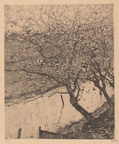 溝沿いのりんごの木 作： Pieter Dupont