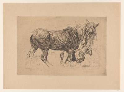 2 頭の馬の学習シート 作： Pieter Dupont