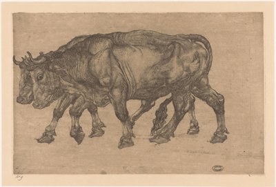 二頭の牛 作： Pieter Dupont