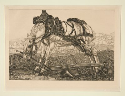 働く馬 作： Pieter Dupont