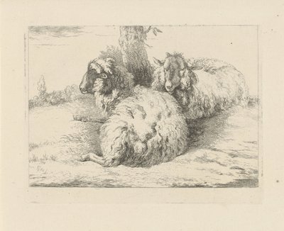 横たわる羊 羊とヤギ（シリーズタイトル） 作： Pieter Gerardus van Os