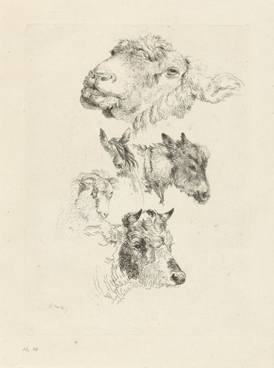 羊、馬、ロバ、雄羊、雄牛の頭の学習シート 作： Pieter Gerardus van Os