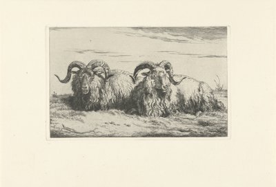 横になっている 2 つのラム 羊とヤギ（シリーズタイトル） 作： Pieter Gerardus van Os