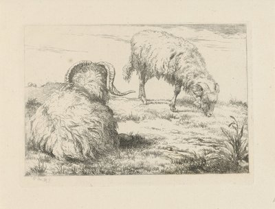 牧草地で 2 つのラム 羊とヤギ（シリーズタイトル） 作： Pieter Gerardus van Os