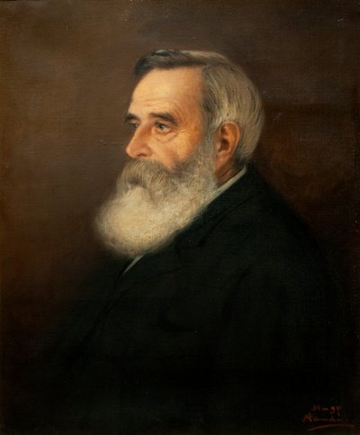 ブラウン博士 作： Pieter Hugo Naudé