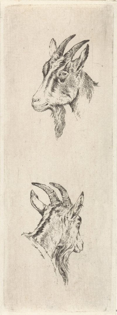 バックヘッド 作： Pieter Janson