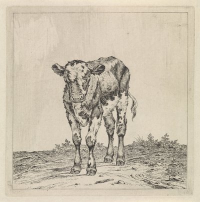 ふくらはぎのある風景 作： Pieter Janson