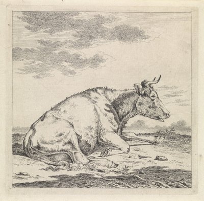 横になっている牛、右側 作： Pieter Janson