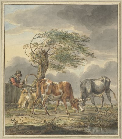 2頭の若い雄牛と1頭の牛 作： Pieter Janson