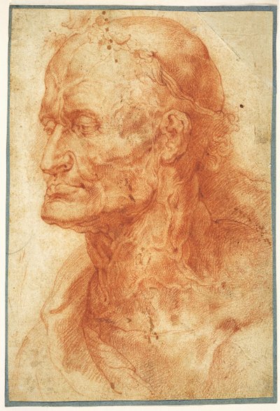 老人の頭の習作、1602年頃。 作： Pieter Paul Rubens