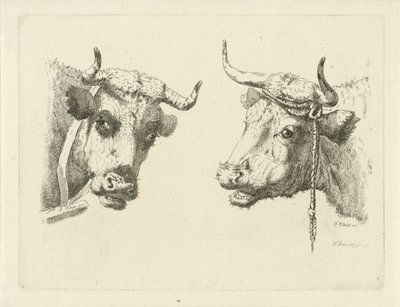 2 つの牛の頭 作： Pieter Roosing